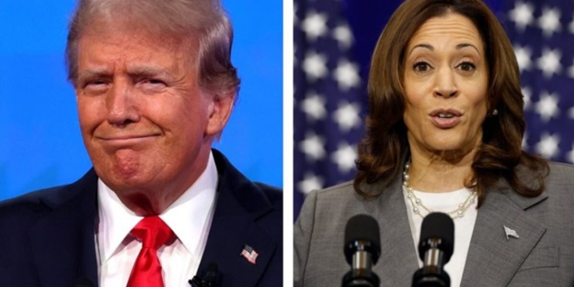 New Polling From NY Times/Siena College Puts Trump Back on Top, Liberals Outraged