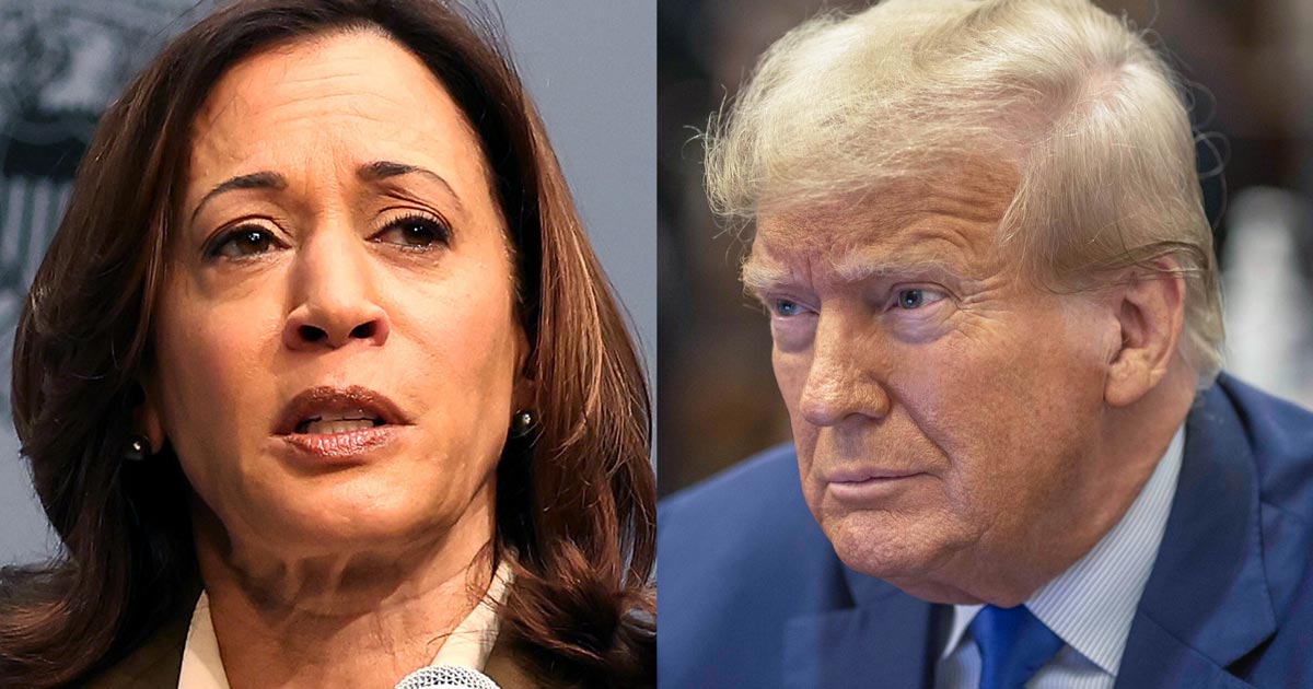 Former Trump Campaign Strategist: No Reason to Debate Kamala Harris When He Is ‘Ahead in the Race’