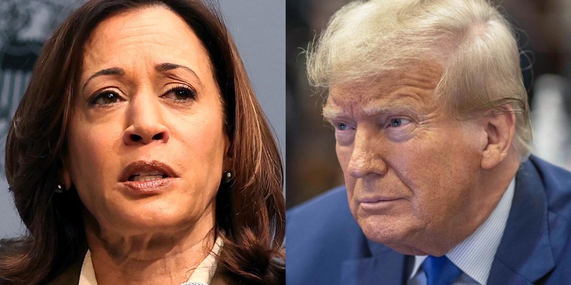 ‘Fact-Checkers’ Forced to Admit Trump’s Claim about Kamala Harris Is ‘Basically True’