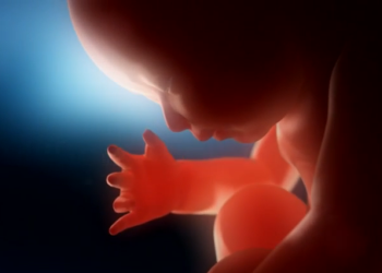 Abortions are Increasing 277% in Kansas as Abortion Industry Targets Nearby States