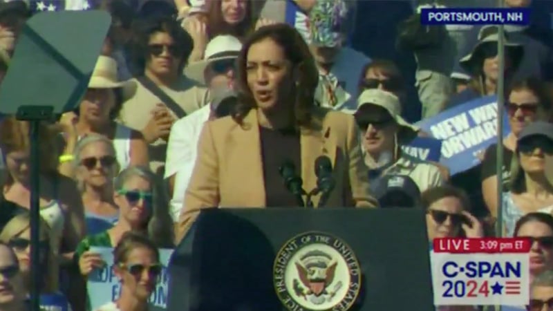 “It Doesn’t Have to be This Way”: Kamala Uses Georgia Shooting to Attack Second Amendment