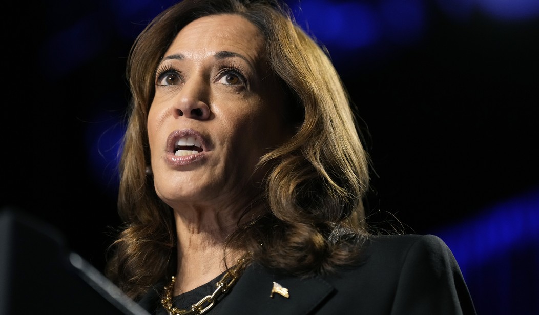 What Kamala Harris Posted Shows She Doesn't Care About Hurricane Helene Victims