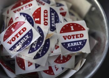 Texas Secretary of State to Election Officials: Accept Noncitizen Driver's License as Valid ID to Vote