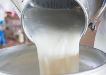 Milk Wars: Marjorie Taylor Greene Takes Side In Raw Milk Debate