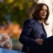 The Collapse of Kamala Harris