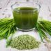 Nature’s multivitamin: Barley grass helps protect the body from numerous diseases