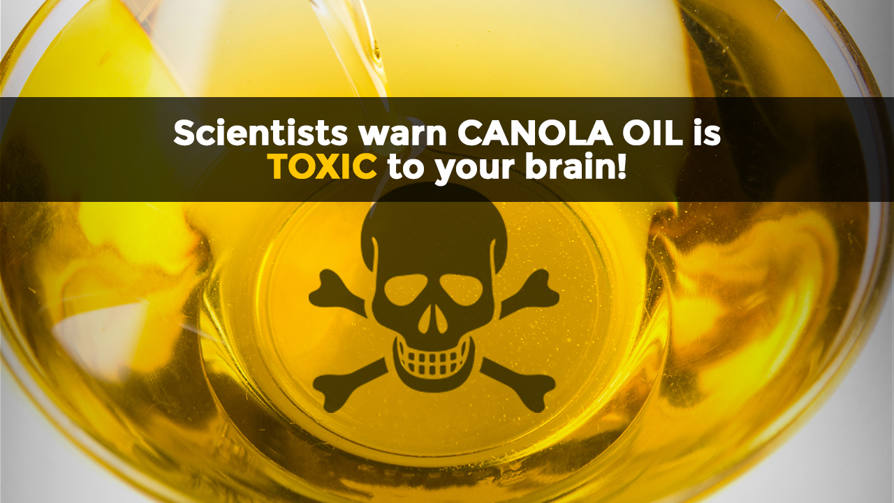 MOST HEALTH-DAMAGING OIL? Canola oil in most processed foods linked to rapid weight gain, early onset dementia, cancer