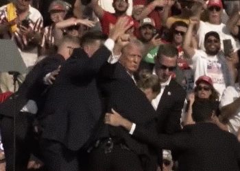 Trump Assassination Attempt