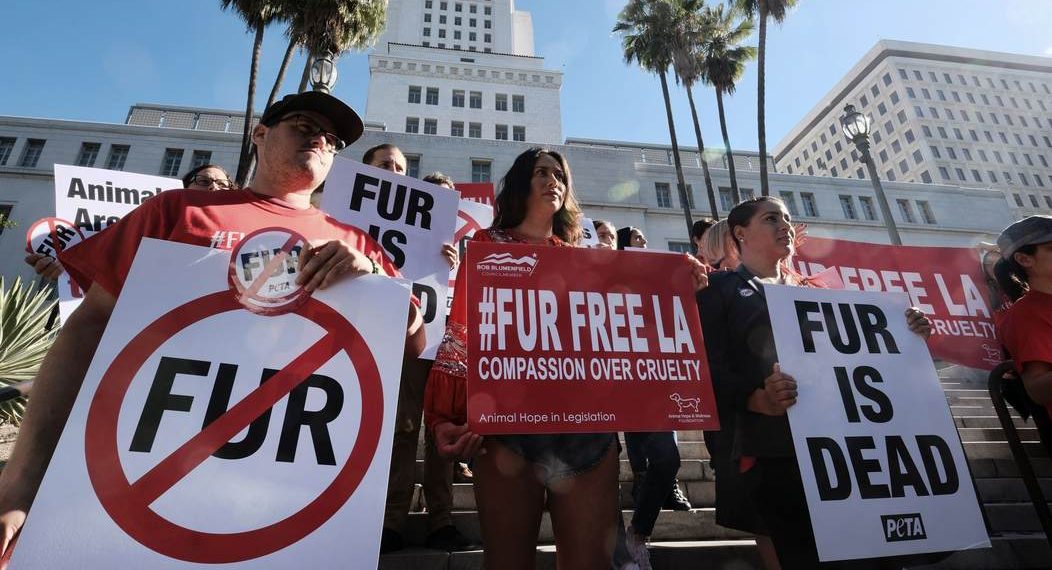 PETA to Kick Off National Tour to Harass People Into Avoiding Turkey on Thanksgiving