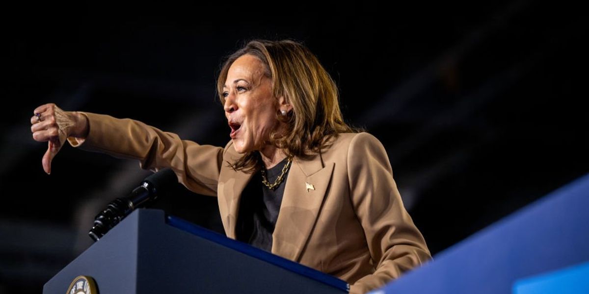 Democrats are melting down because men don't like Kamala Harris. Their solution: Accuse them of misogyny.