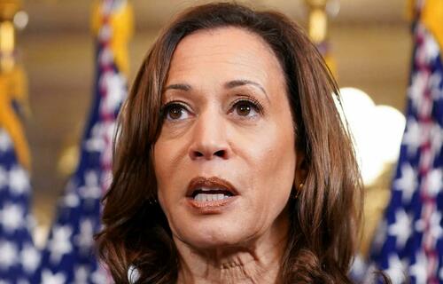 "The Case Is More Serious": NYT Hid Extent Of Kamala Harris Plagiarism From Their Own Expert