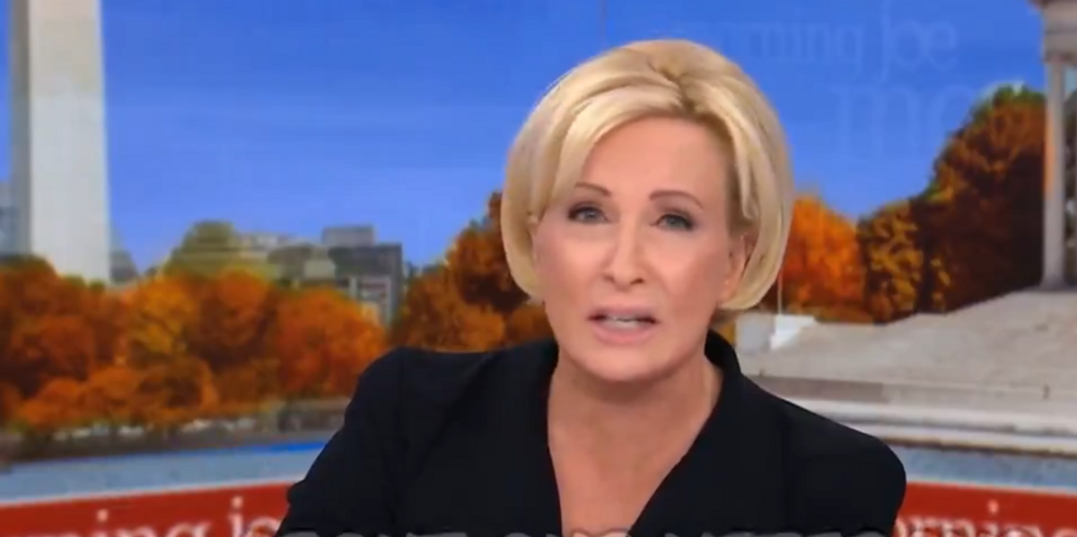 "Trump's making us afraid to have babies:" Mika Brzezinski has all-time bizarre anti-Trump rant