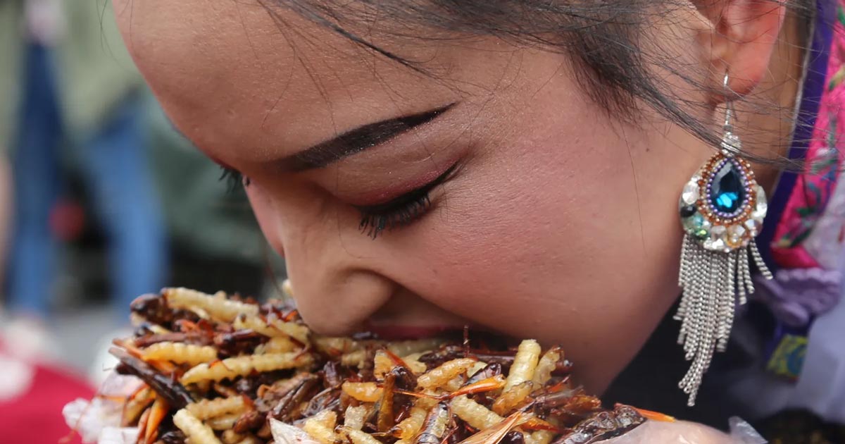 UK Launches Major Effort to Promote Insect-Based ‘Foods’ and Lab-Grown ‘Meat’