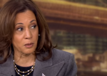 Kamala Warned Israel Not to Enter Area Where Hamas Leader Was Found