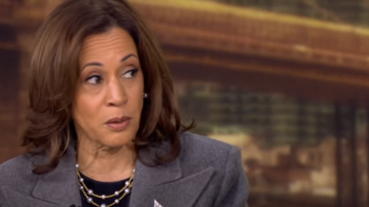 Kamala Warned Israel Not to Enter Area Where Hamas Leader Was Found