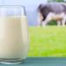 Rulers Warn Against Drinking Raw Milk
