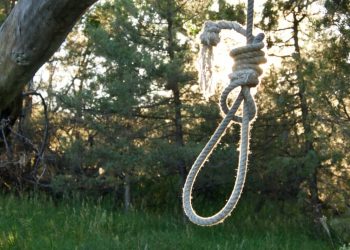 Migrant Hanged in New York Park Is Suspected Pedophile.