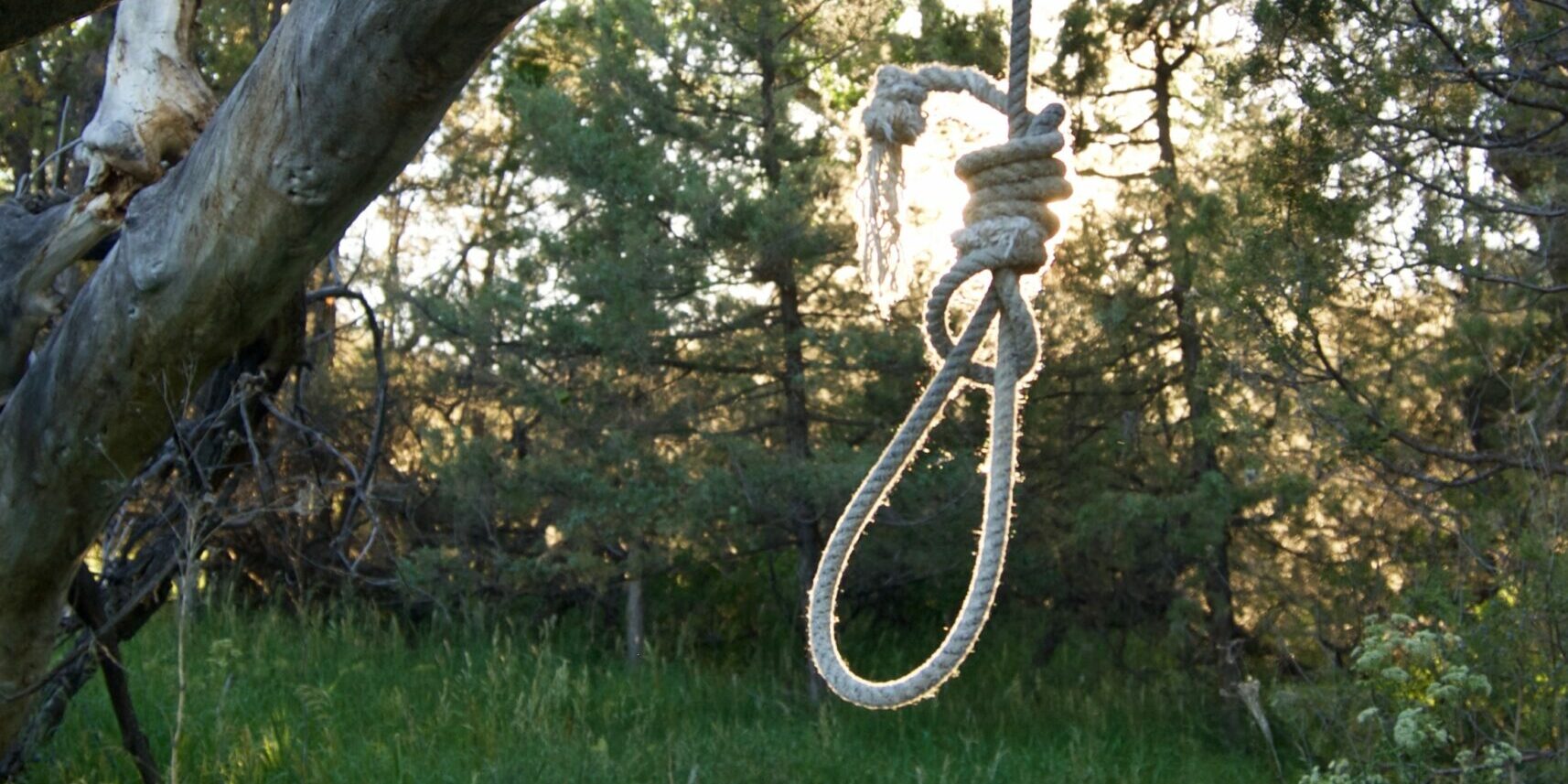 Migrant Hanged in New York Park Is Suspected Pedophile.