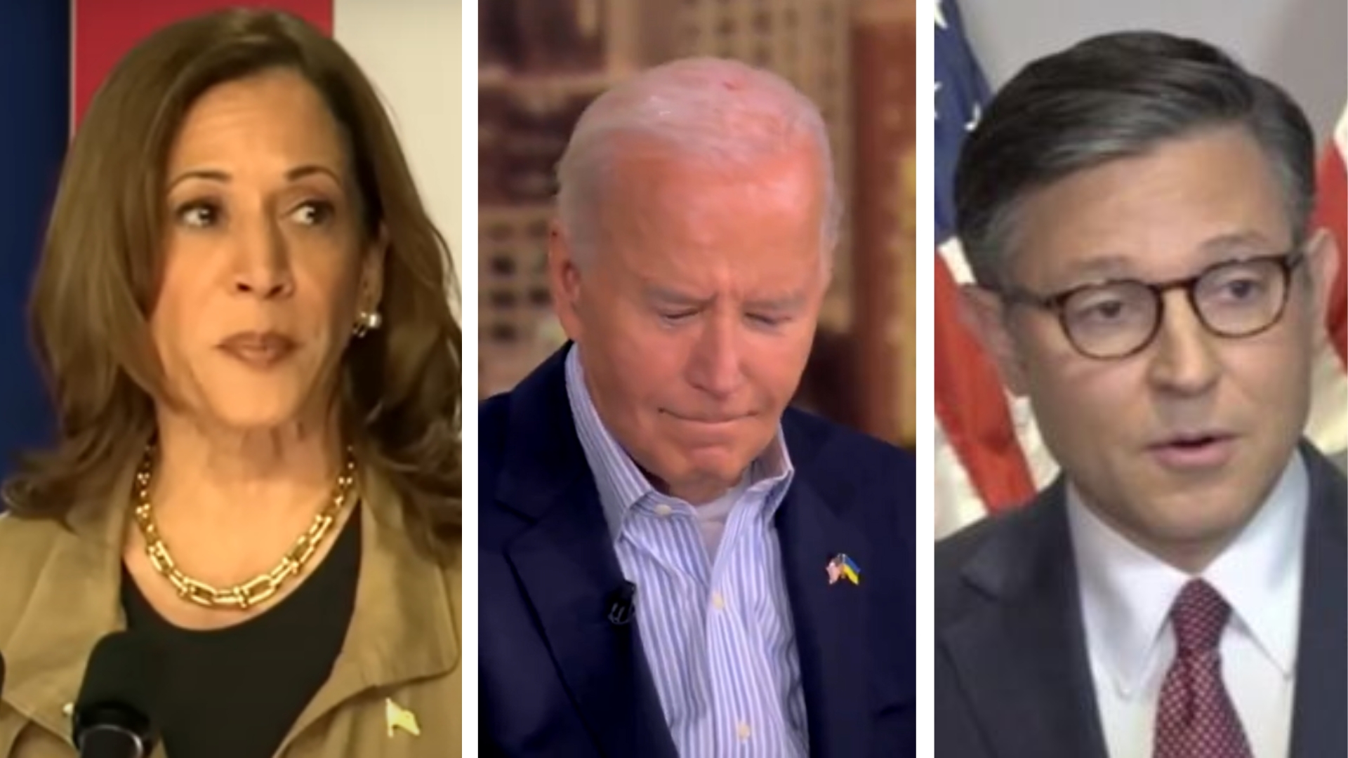 Biden-Harris admin's disaster loan program tapped out after hurricanes