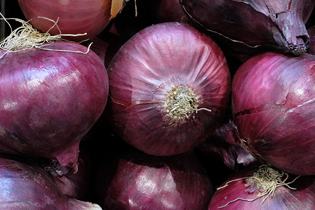 Healing and culinary legacy of ONIONS