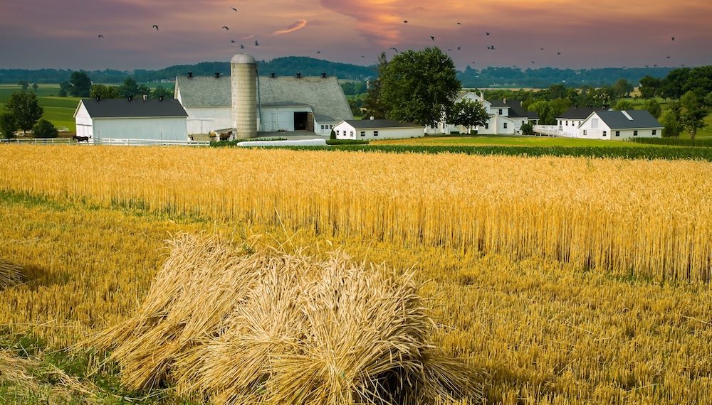 JUST IN: Swing County Launches Major Probe After 2,500 Fraudulent Registrations Are Discovered