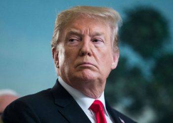 Trump transition team to ‘swamp rats’ looking to come back: ‘Go pound sand’