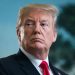 Trump transition team to ‘swamp rats’ looking to come back: ‘Go pound sand’