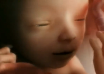 Ohio Abortion Businesses Killed 20,000 Babies in Abortions Last Year