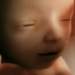 Ohio Abortion Businesses Killed 20,000 Babies in Abortions Last Year
