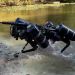 'Terminator' Robot Dog Now Equipped With Amphibious Capabilities