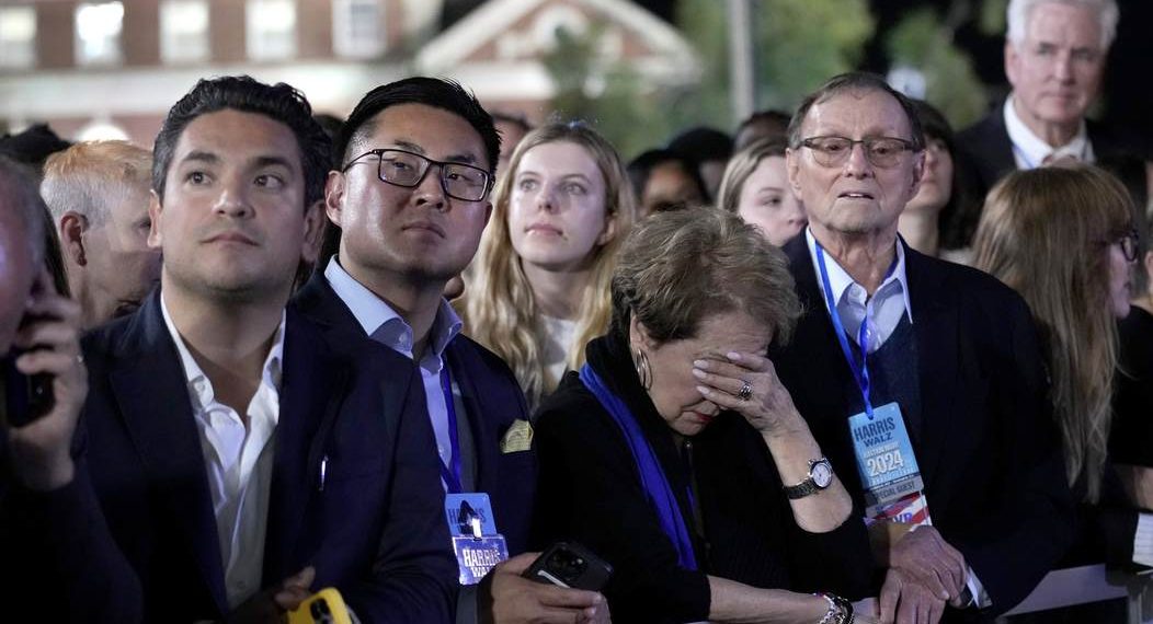 Dem Strategist Explains How Her Party Got Brutalized in 2024