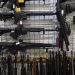 Johns Hopkins's Anti-Gun 'School' Coping Hard with Election Results