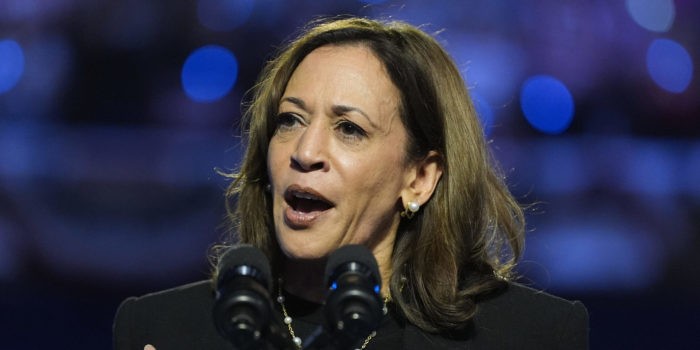 Are D.C. Businesses Boarding Up for Protests After Kamala’s Loss?