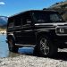 Kim Dotcom