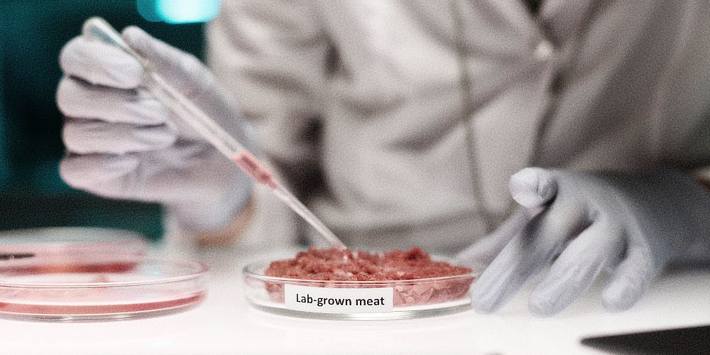 Federal Judge Upholds Florida Ban on Lab-Grown Meat