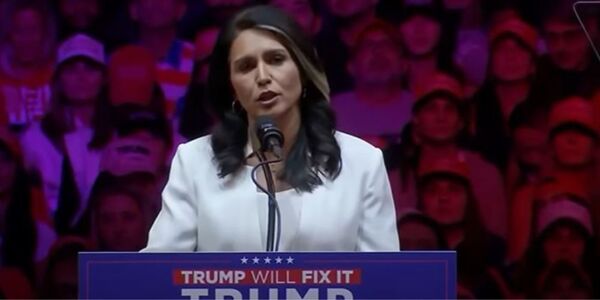 BREAKING: Trump appoints Tulsi Gabbard as Director of National Intelligence