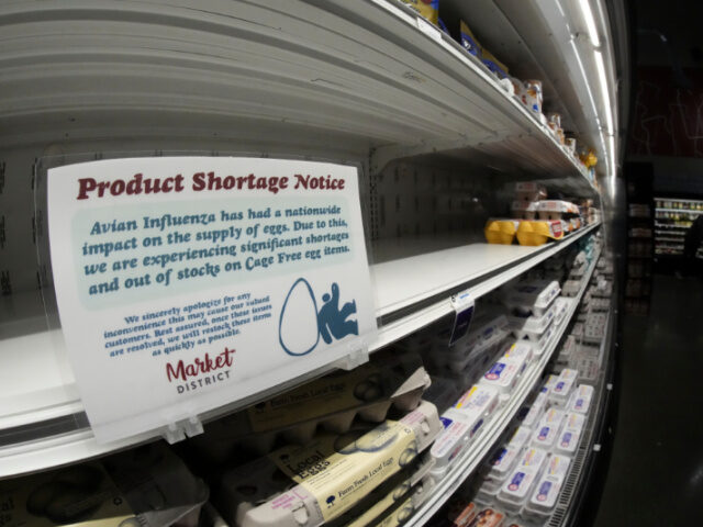 Egg Shortage and Price Increase Hit U.S. amid Holiday Season