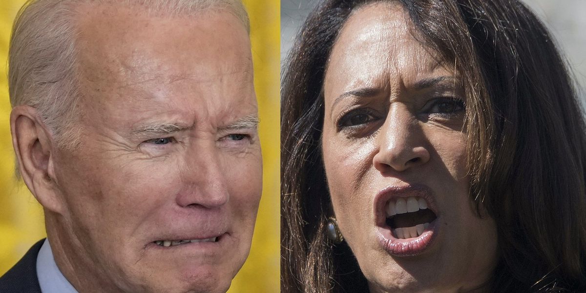 Multiple campaign calls with Biden were canceled after disastrous 'garbage' comment: Report