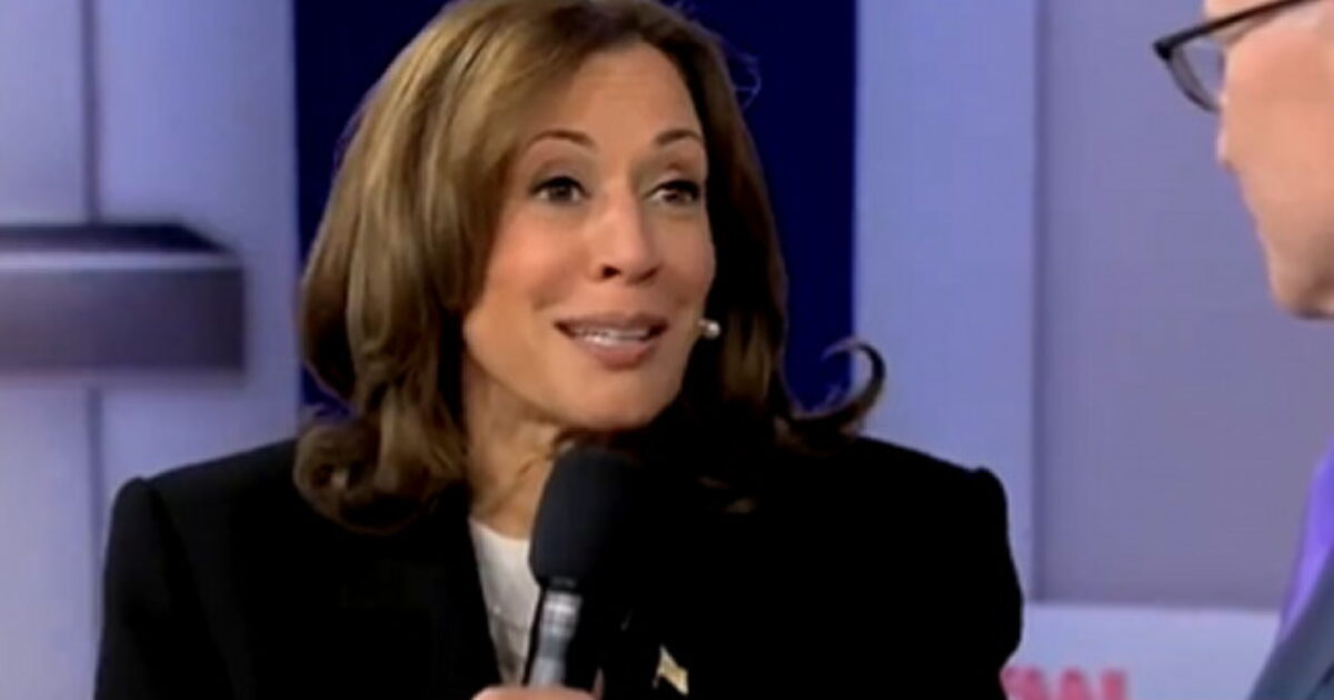 PANIC: Democrats Already Starting to Point Fingers and Assign Blame for Potential Kamala Harris Loss