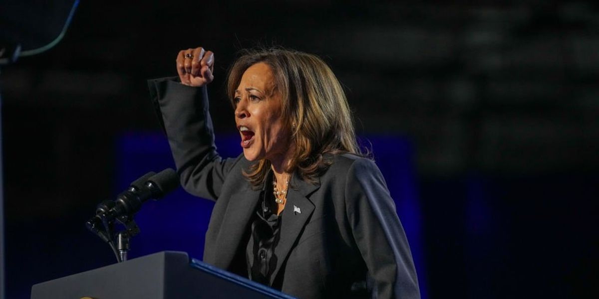 Liberal publication reveals what Democrats might blame Harris' loss on