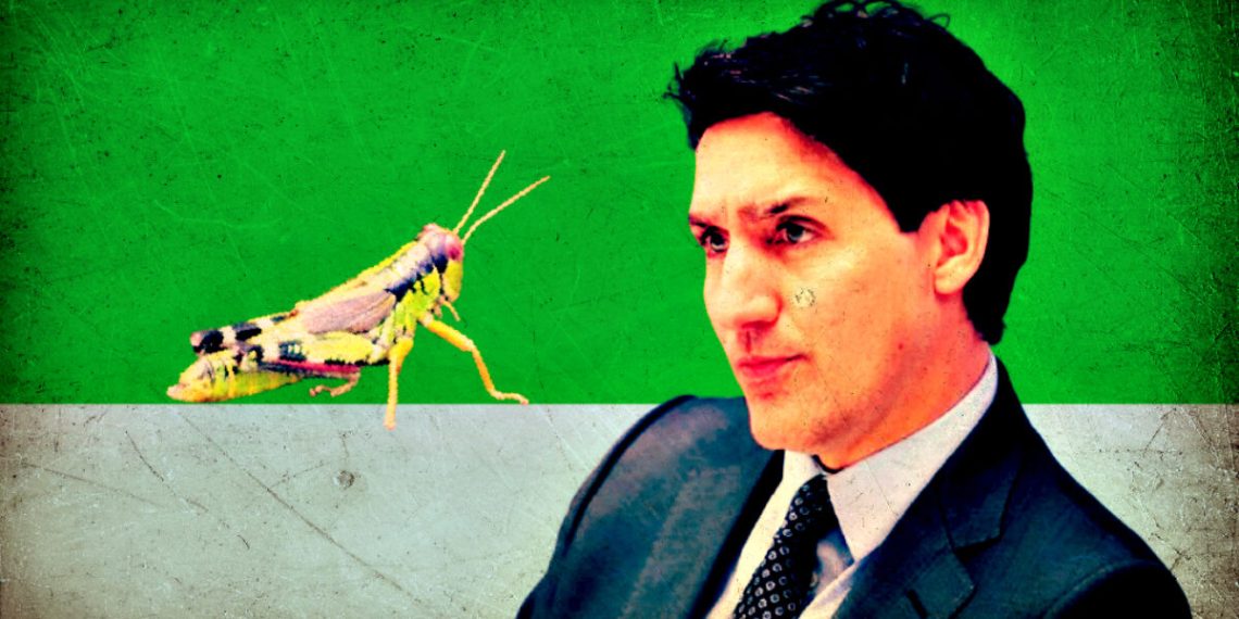 Globalist Trudeau Went All in With Feeding Insects to Canadians – Embattled Prime Minister Blew $9 Million in Failed Edible Cricket Factory