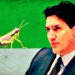 Globalist Trudeau Went All in With Feeding Insects to Canadians – Embattled Prime Minister Blew $9 Million in Failed Edible Cricket Factory