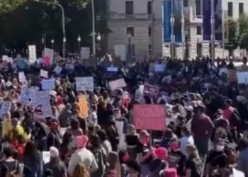 The Left Genuinely Feels Beaten