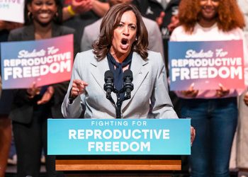 Poll: Most Voters Reject VP Kamala Harris for 2028 Presidential Election