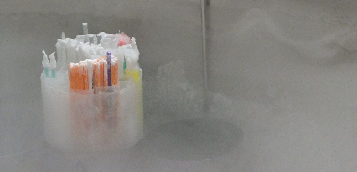 Massive Defense Bill Creates Sperm Freezing Program, Dumps Millions Into ‘Minority Serving’ Schools