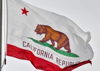 Environmental groups sue California over livestock manure policy