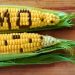 Could GMO crops be the MAIN REASON for the explosion of LEAKY GUT SYNDROME?