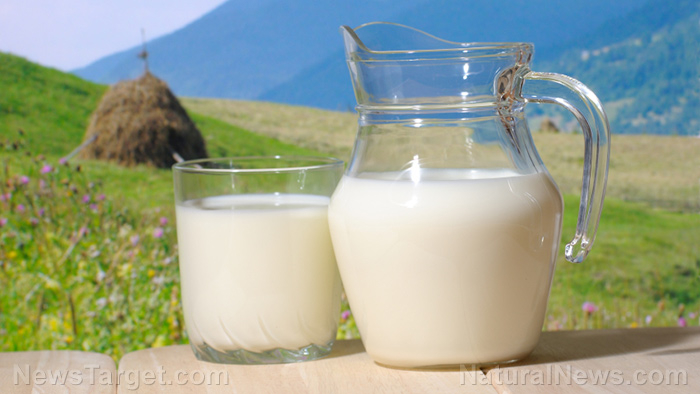 Raw milk revolution: A new dawn for health freedom?