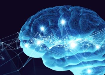 How Science is Showing that Free Speech is Built into the Brain