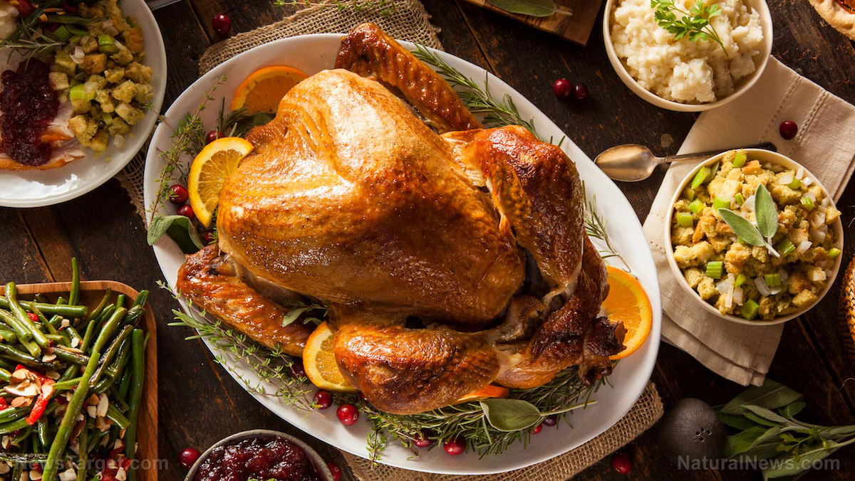 Not just for Thanksgiving: Turkey is a protein-packed nutritional powerhouse of Christmas feasts